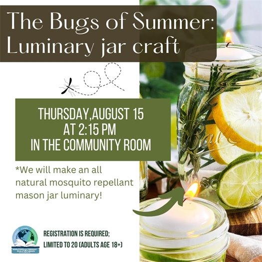 MTPL's Bugs of Summer Luminary Craft Jar