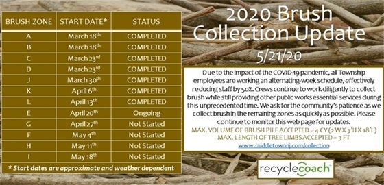 2020 Brush Collection Update