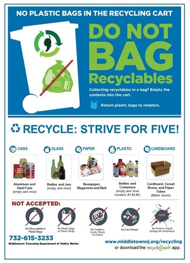 No Plastic Bags in Recycling Graphic 