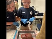 Police Youth Week Wound Packing