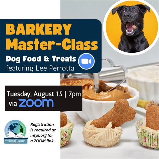 MTPL Virtual Author Talks 