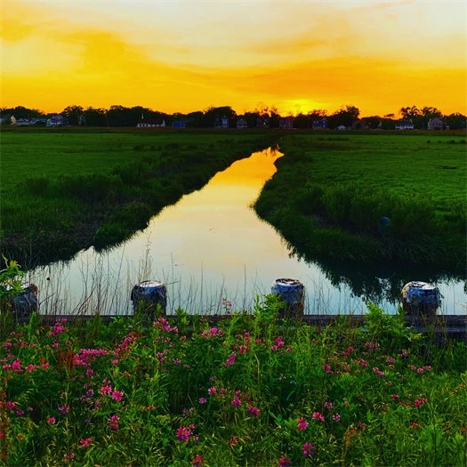 Photo Contest Winner