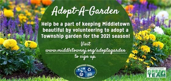 Participate in Adopt-A-Garden
