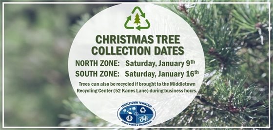 Christmas Tree Collection Dates