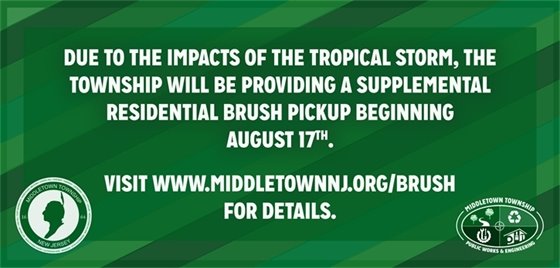 Tropical Storm Brush Collection Info