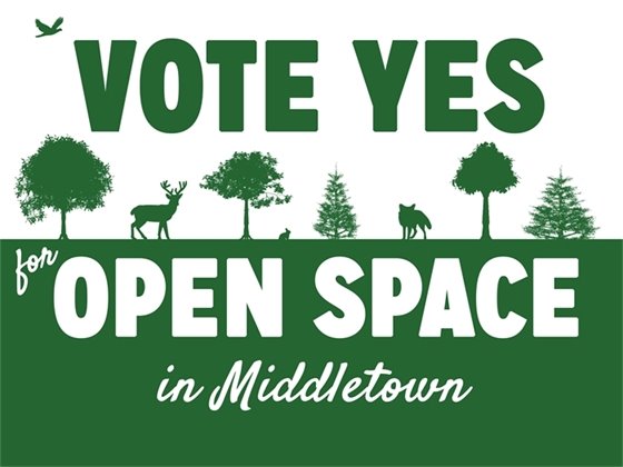 Vote Yes for Open Space 