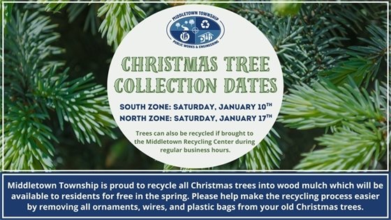 Christmas Tree Collection Dates