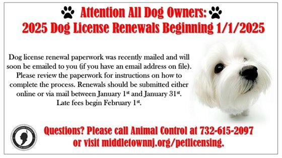 Dog license renewal paperwork was recently mailed and will soon be emailed to you (if you have an email address on file). Please review the paperwork for instructions on how to complete the process. Renewals should be submitted either online or via mail between January 1st and January 31st. Late fees begin February 1st. 