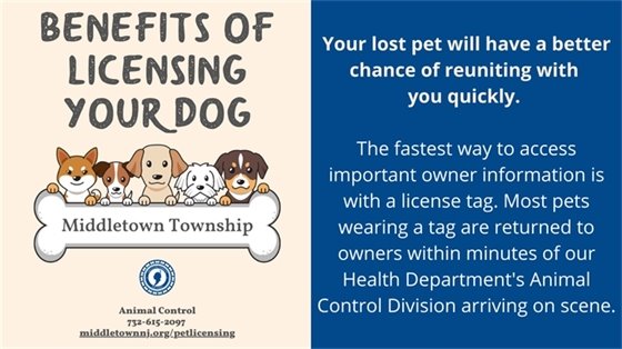 Your lost pet will have a better chance of reuniting with you quickly. The fastest way to access important owner information is with a license tag. Most pets wearing a tag are returned to owners within minutes of our Health Department's Animal Control Division arriving on scene.