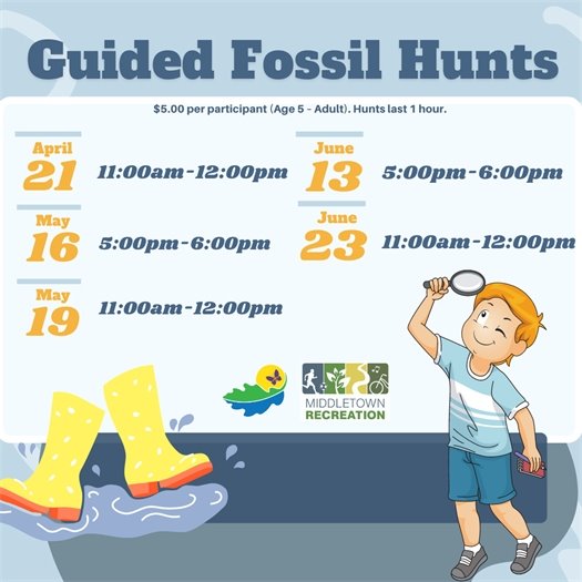 Middletown Recreation Guided Fossil Hunts