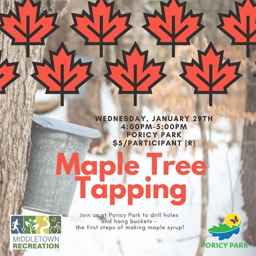 Middletown Recreation Maple Tree Tapping