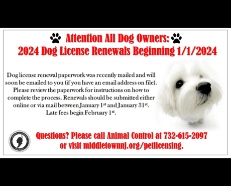 Renew your 2024 dog license between 1/1 and 1/31. Late fees begin 2/1.