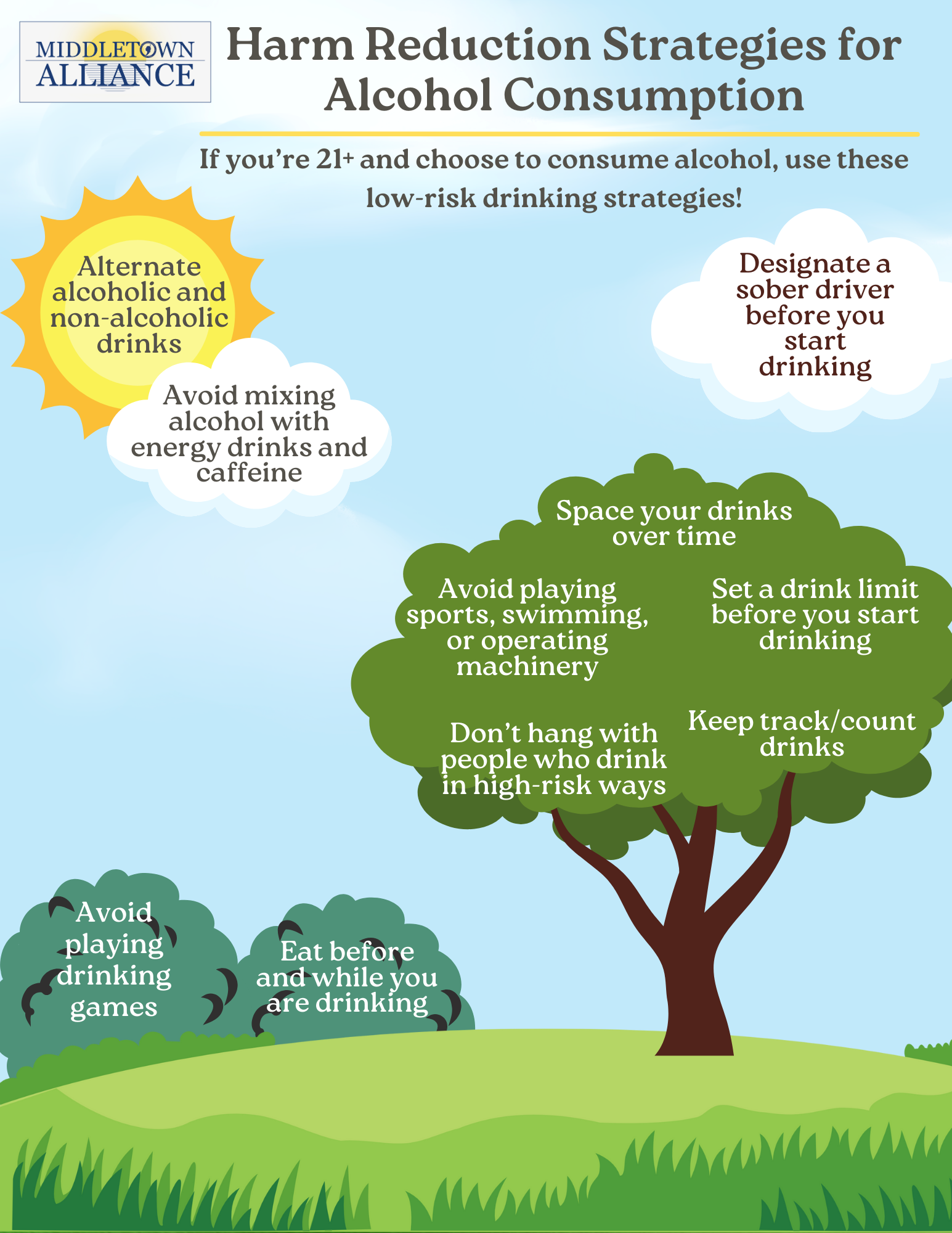 Low risk drinking flyer 