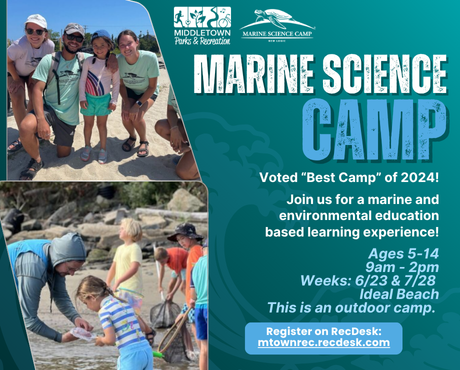 specialty camps newsflash (4)