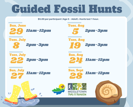 Fossil Hunts Newsflash