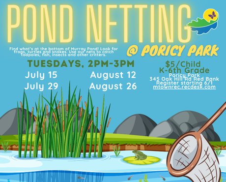 Pond Netting newsflash (2)