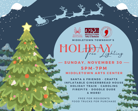 Christmas Tree Lighting Newsflash (2)