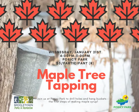Tree Tapping Hike Newsflash
