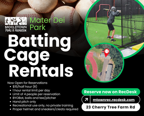 Batting Cage Rentals IG (460 x 370 px)
