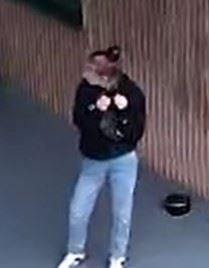 Female person of interest 1c