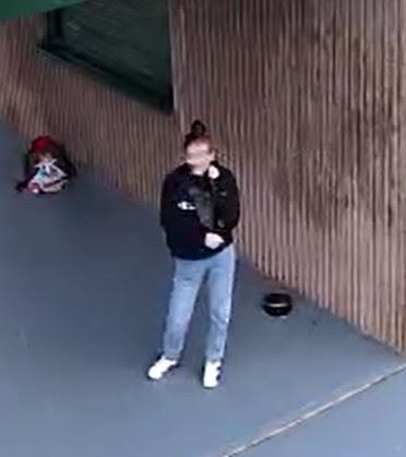 Female person of interest 1b